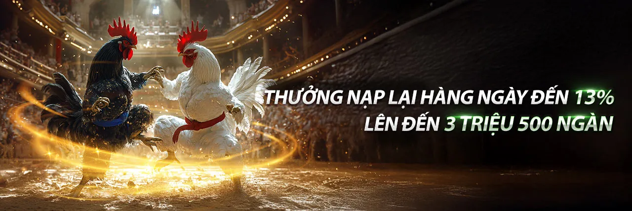 Sân vận động với ánh đèn rực rỡ và người hâm mộ đang cổ vũ, tượng trưng cho cá cược thể thao sôi động tại bet999 nổ hũ